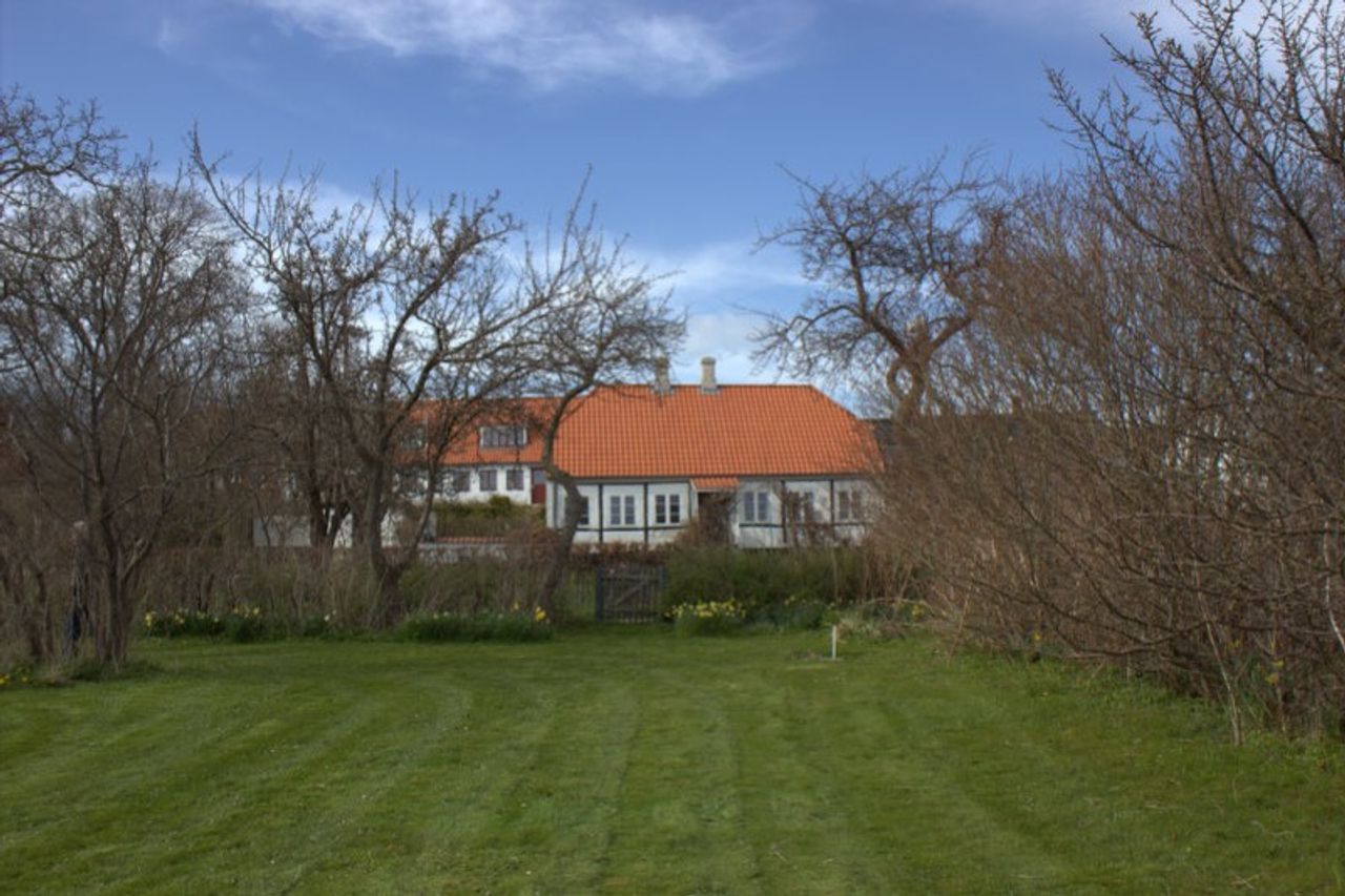 image 04